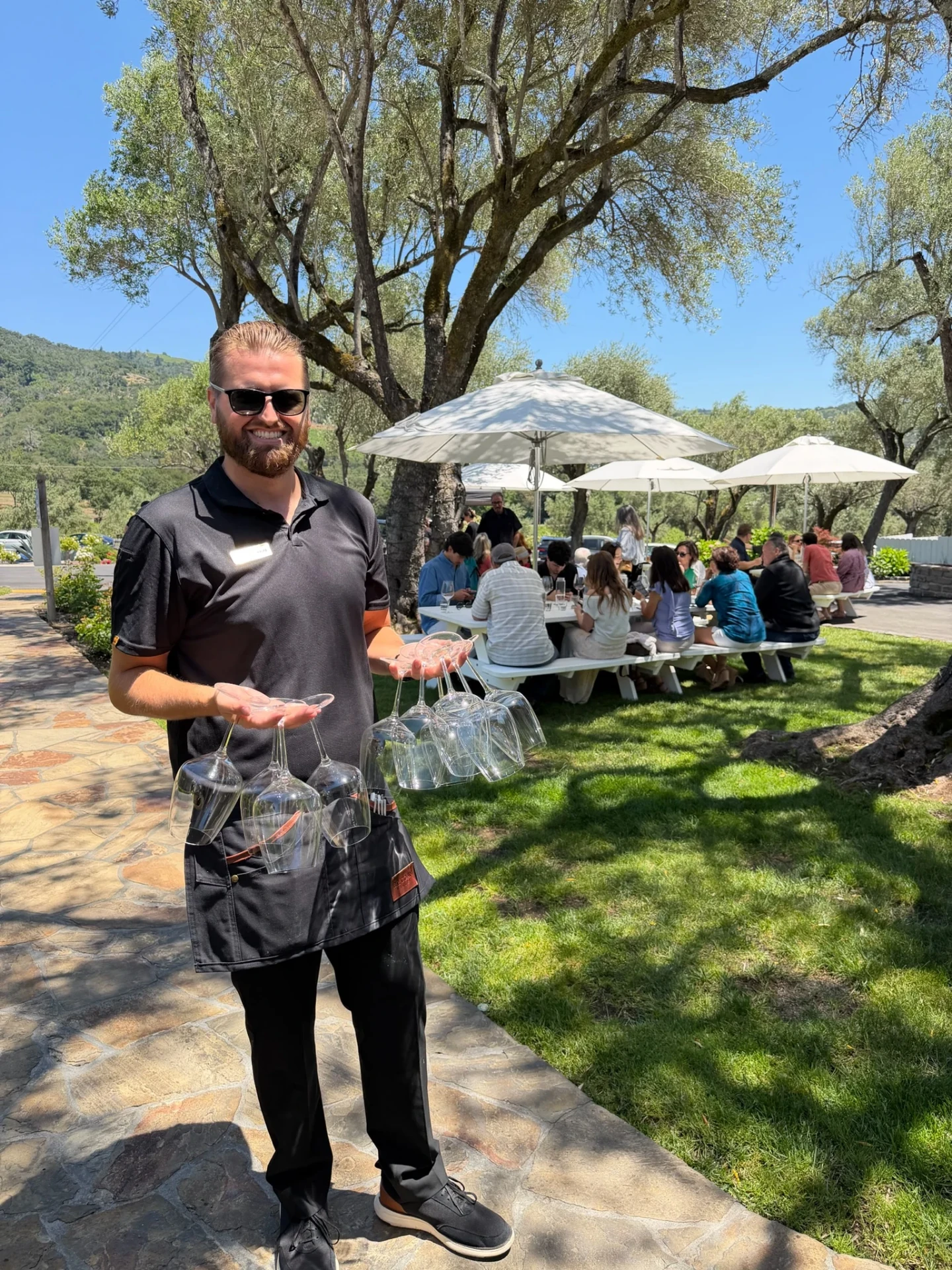 Happy hour at B.R. Cohn Winery