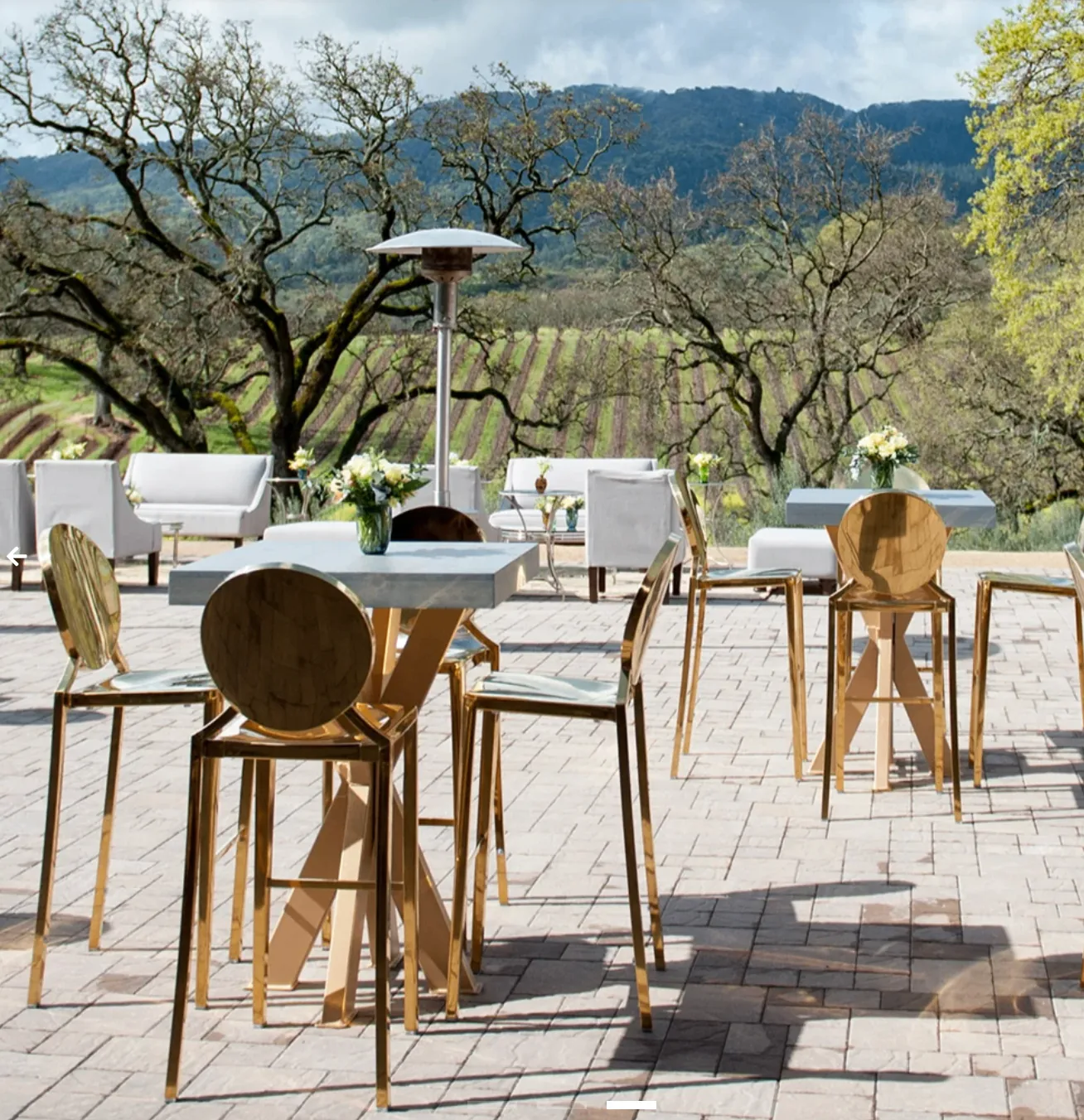 Private event at B.R. Cohn estate