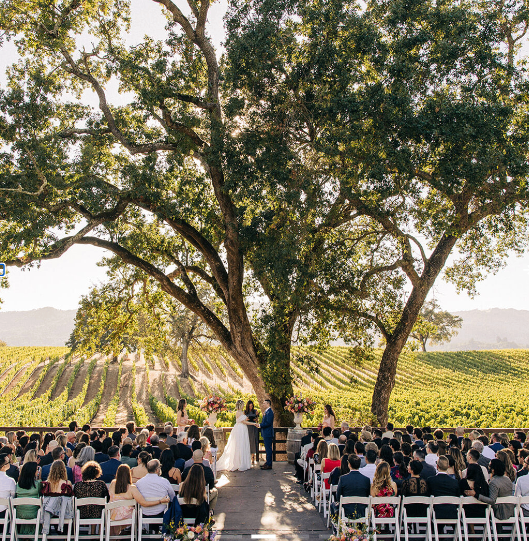 Wide amphitheater ceremony view with guests seated beneath the oak canopy