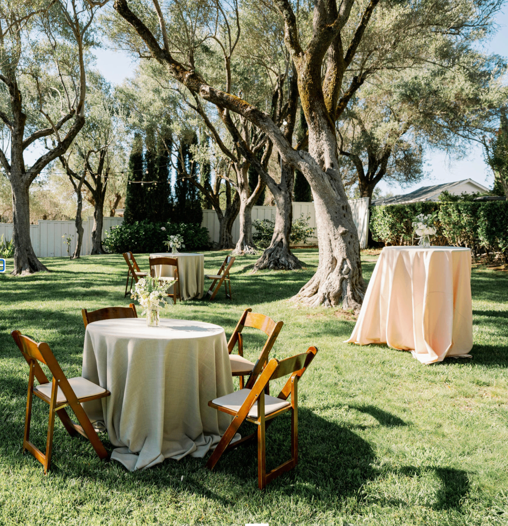 Olive Grove cocktail tables set beneath mature olive trees