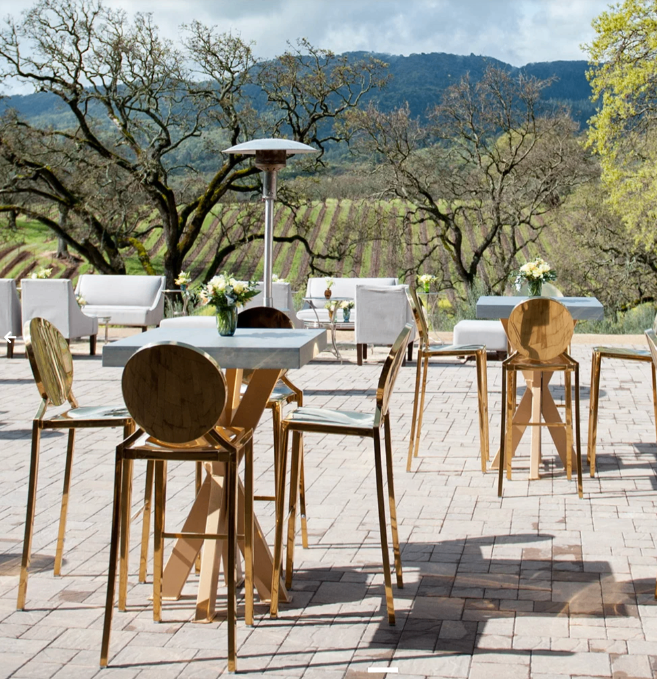 Private event at B.R. Cohn estate