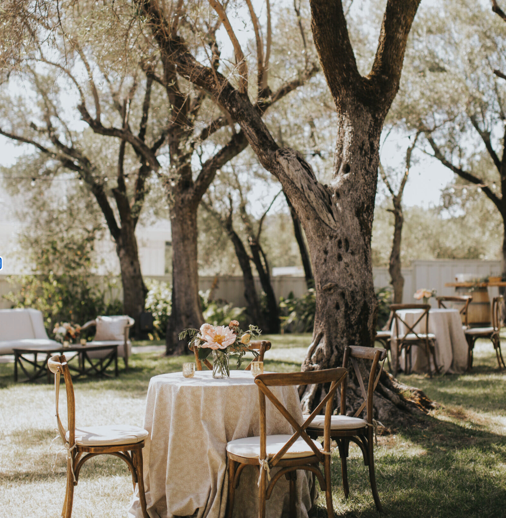 Romantic Olive Grove reception vignette with dining table and lounge seating
