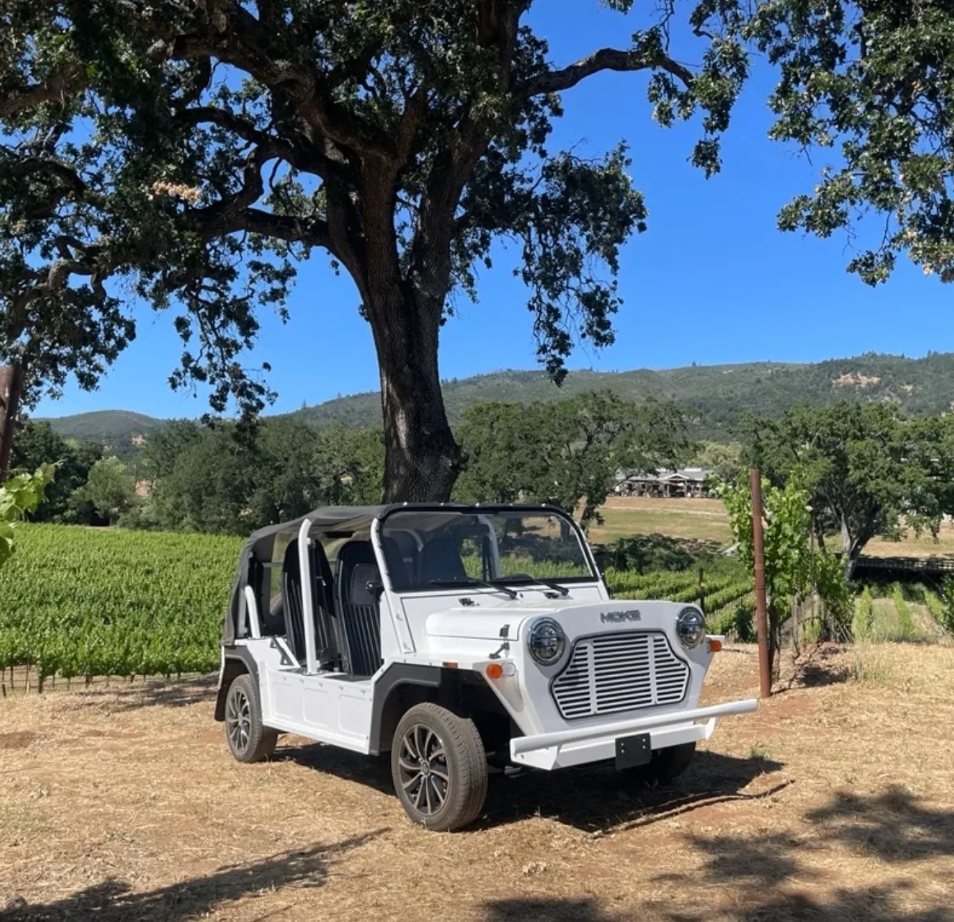 Estate Moke Tour & Tasting