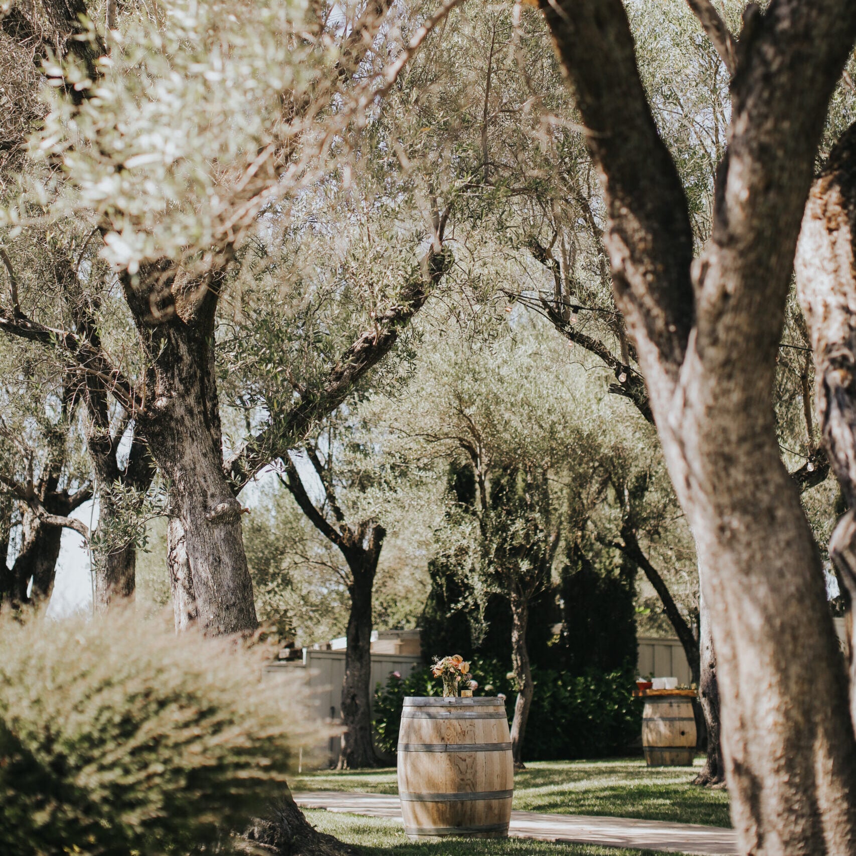julia & joe